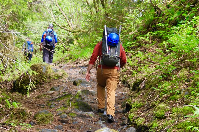 Mendenhall Glacier Guided Hike Juneau - Who Should Book This Tour?