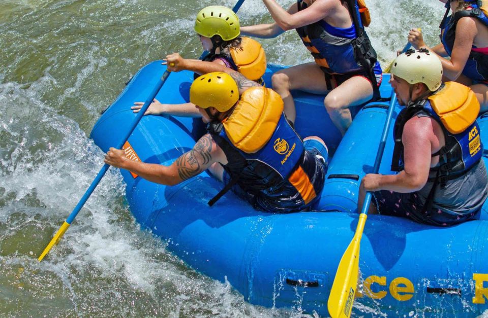New River Gorge Whitewater Rafting - Lower New Half Day - FAQs: Your Practical Questions Answered