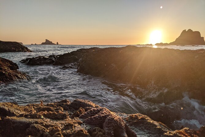 Private Day Hike- Rialto Beach Tide Pooling - Evaluating the Value