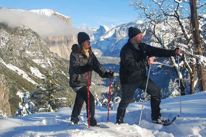 Private guided snowshoe hike in yosemite a detailed look at the yosemite winter snowshoe experience