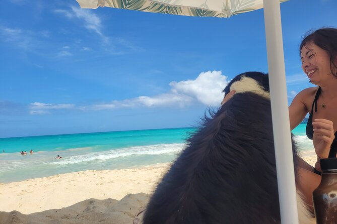 Private Hiking and Beaches Tour in Kailua Town - Who Is This Tour Perfect For?