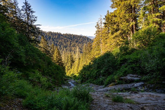 Private Ketchikan Mountain Lake Extended Trek to Alpine Overlook - Why This Tour Excels