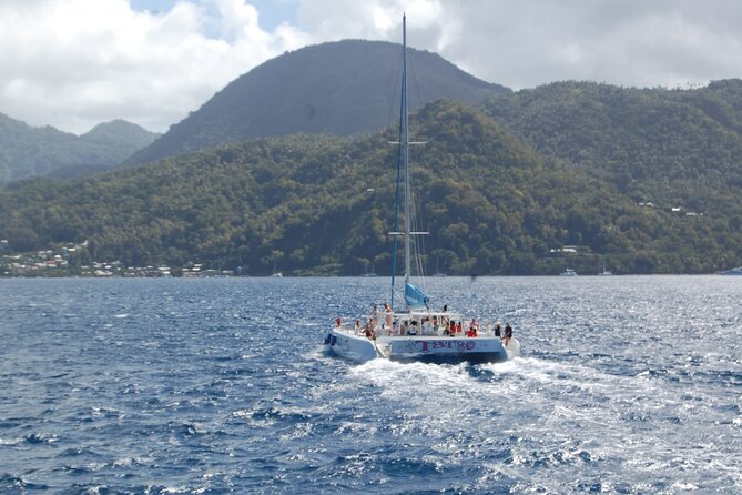 Rodney Bay to Soufriere Catamaran Transfer - Who This Tour Is Perfect For