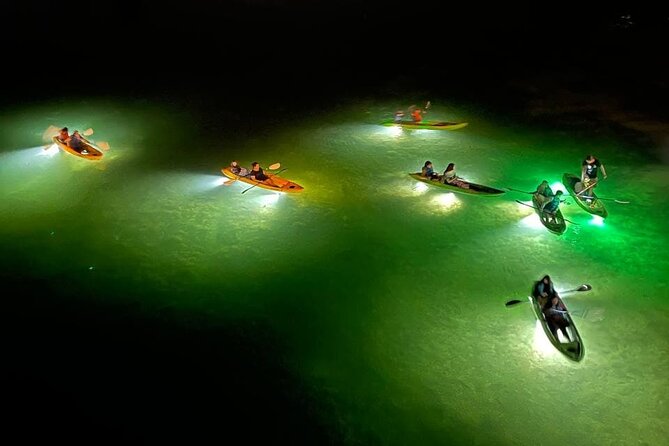 Sharkey's Glass Bottom Fish Feeding LED Night Tour in Clearwater - The Sum Up