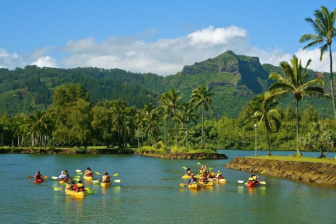 Wailua River & Waterfalls Kayak Tour: Expert-Guided Adventure - The Sum Up