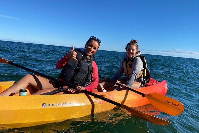 Whitefish Dunes State Park & Cave Point Kayak Tour - Does the tour offer good value?