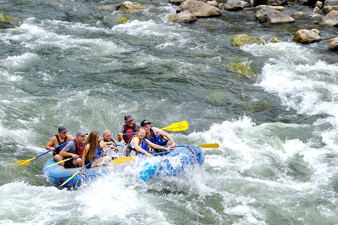 Whitewater Rafting the Salmon River - Full Day - Who Is This Tour Best For?