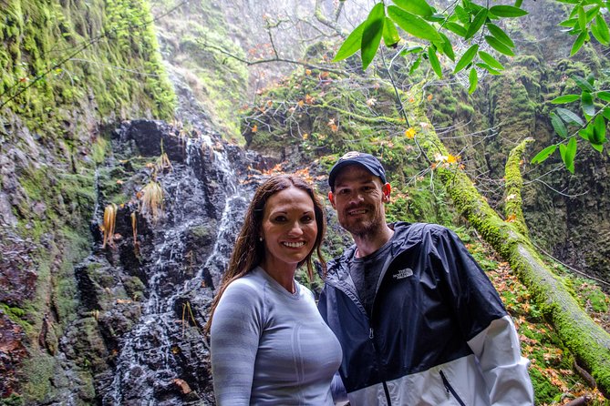 Wine & Wellness Tour in Napa Valley - Highlights of the Wine & Wellness Tour in Napa Valley