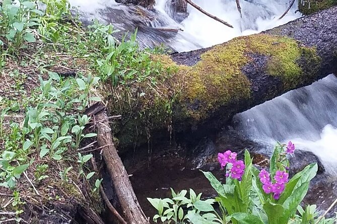 Women's Hike to Ouzel Falls in Rocky Mountain National Park - The Small Group Advantage and Guide Expertise