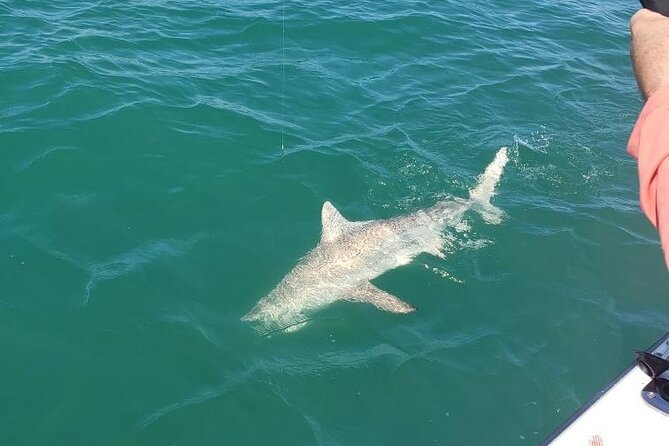 4-hour Fishing Adventure at Belleair Causeway - Frequently Asked Questions