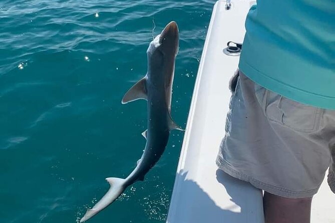 6 hour private fishing tour in sarasota with master captain bill why this tour represents good value