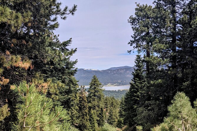 A Local's Favorite Hike in Big Bear with Lake Swimming Experience - The Sum Up