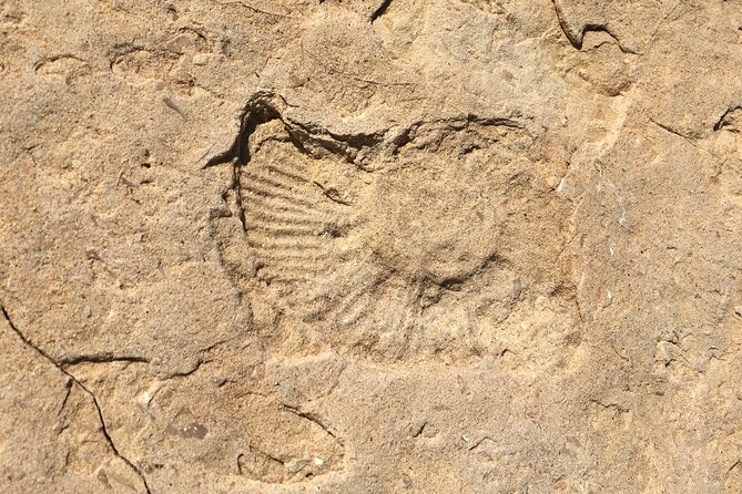 Ancient Landscapes Private Geology Hike at Garden of the Gods - Remember: Your Geological Adventure Awaits