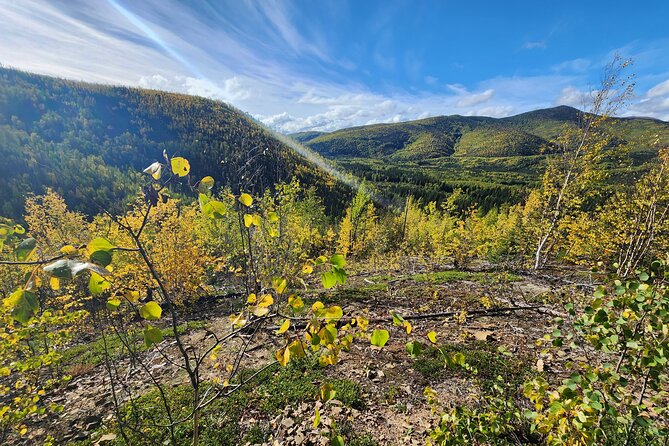 Angel Rocks Hike and Chena Hot-Springs Soak Guided Tour - FAQ