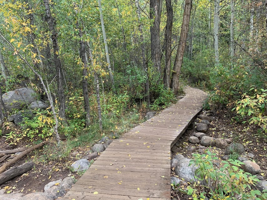 Aspen: Guided Light Hike with Roaring Fork River Views - The Sum Up
