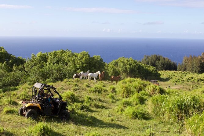 ATV Ranch ride Big Island Hawaii - Practical Information & Tips