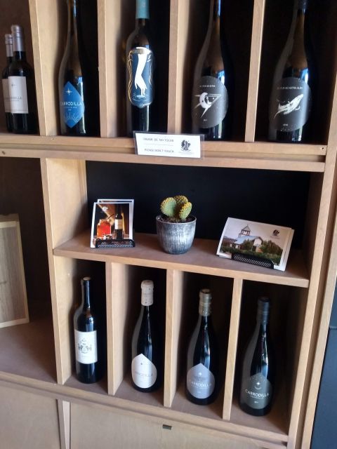 Bike Through Vineyards The best Wine in the Guadalupe Valley - Final Thoughts: Who Should Consider This Tour?