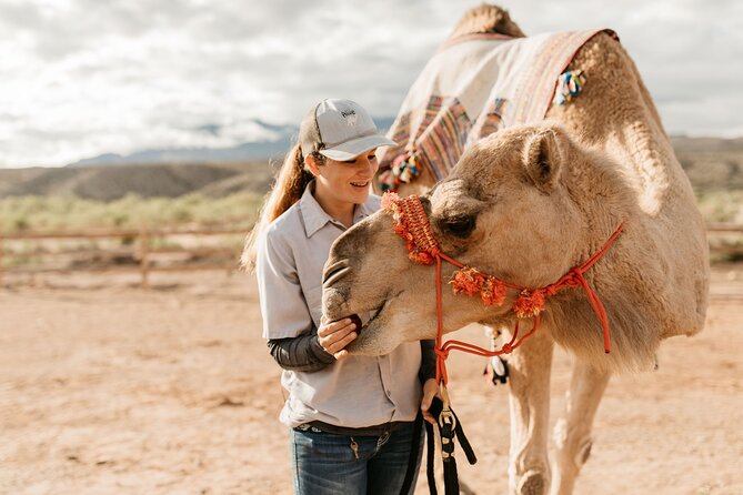 Camel Safari - Camel Ride and Zoo Tour - Summary of Who This Is Best For