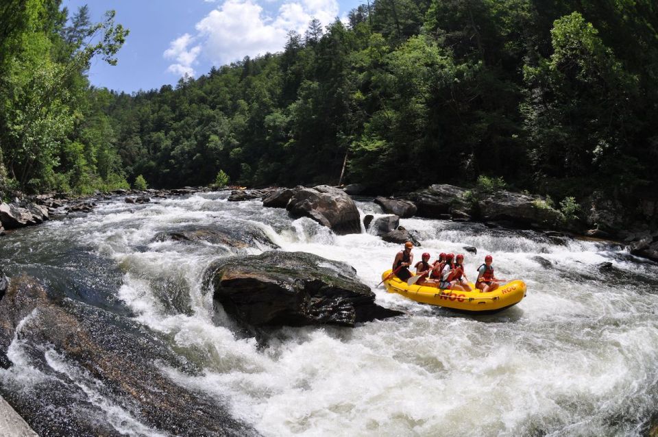 Chattooga: Chattooga River Rafting with Lunch - Final Thoughts: Who Will Value This Adventure?