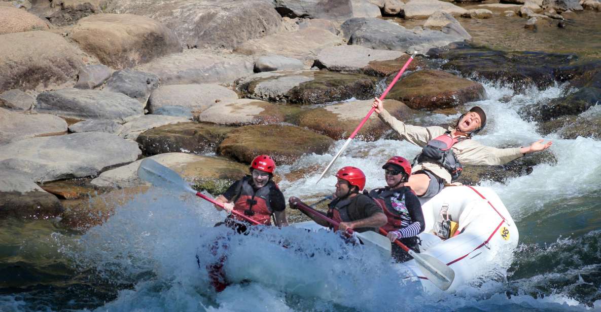 Durango 3/4 Day Rafting Trip with Lunch - Lower Animas River - Who Is This Experience Best For?