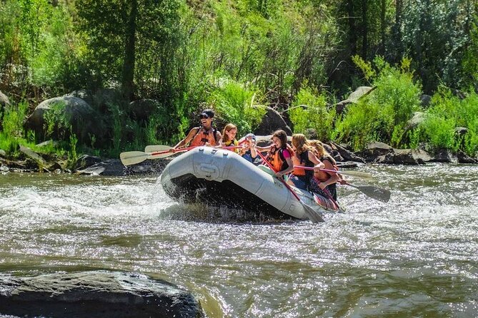 Durango Half Day Rafting Trip - Lower Animas River - Practical Tips for Your Rafting Trip