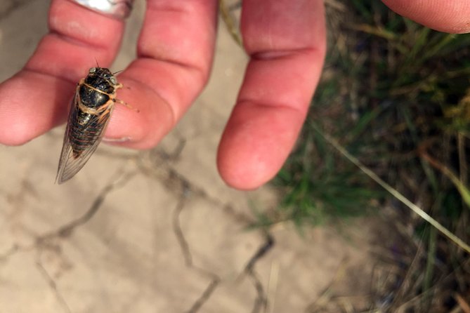 Full-day Columbia Gorge Hiking - FAQ