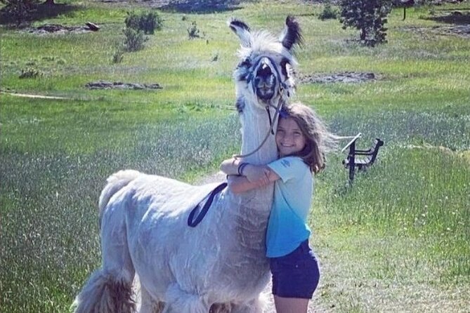 Guided Llama Hike in the Rocky Mountains - The Sum Up: Who Is This Tour Best For?