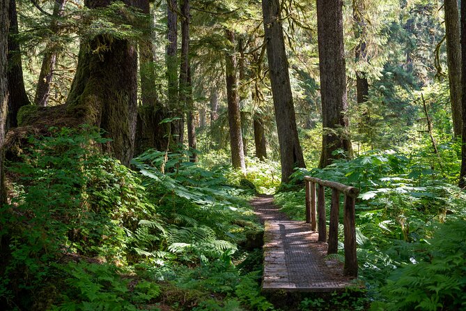 Ketchikan Magical Old-Growth Creek Trek Guided Tour - Who Benefit Most from This Tour?