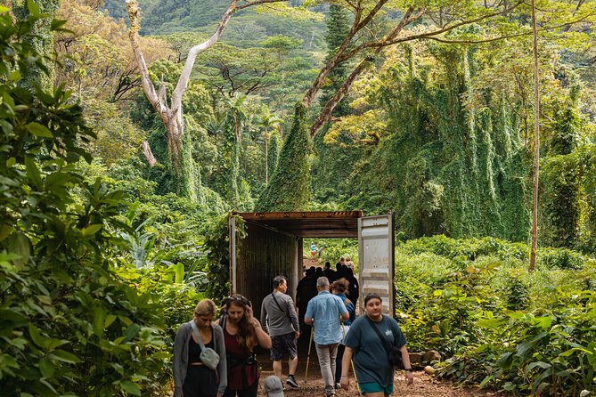 Manoa Waterfall Hike From Waikiki With Healthy Lunch Included - The Sum Up