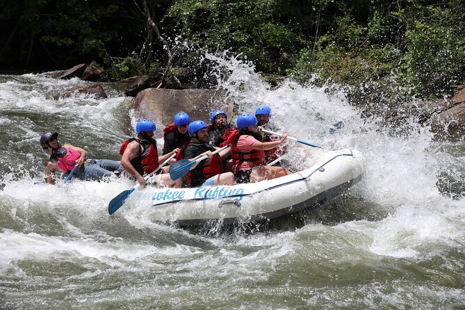 Ocoee River Middle Whitewater Rafting Trip (Most Popular Tour) - The Landscape and Views – Looking Beyond the Rapids