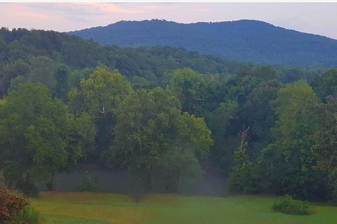 Pricing isPER TENT. Rustic Tent Camping Site (No Electricity or Lighting, No RV - Final Thoughts