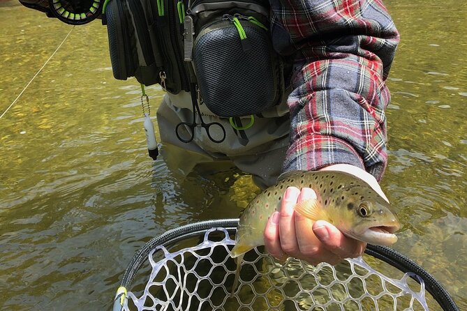 Private Full Day Fly Fishing For Beginners and Experienced Anglers - The Sum Up