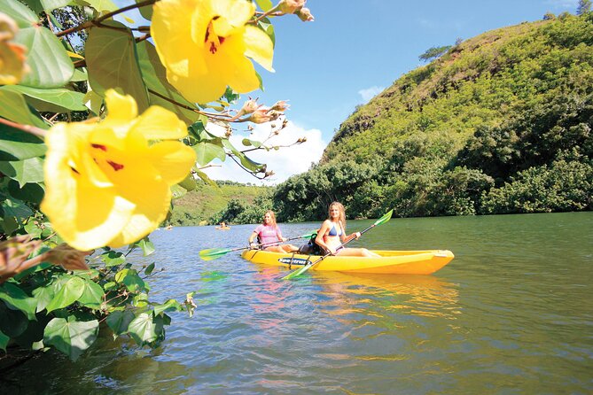 Secret Falls Kayak and Hike in Kauai - Weather and Cancellation Policy