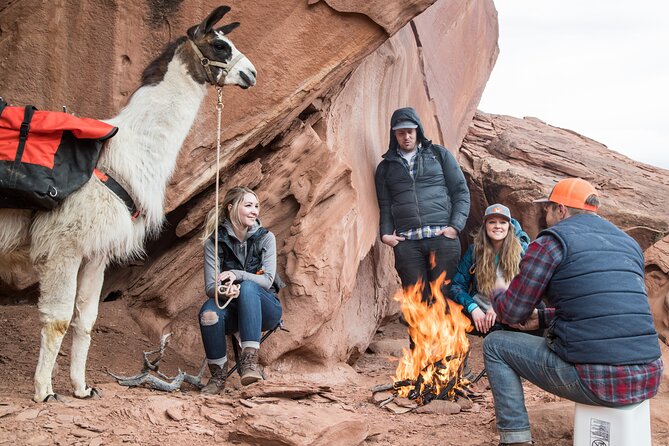 Spectacular 8-Hour Guided Llama Hike with Lunch and Dinner - Midday Reflections: Picnic and Scenic Stops