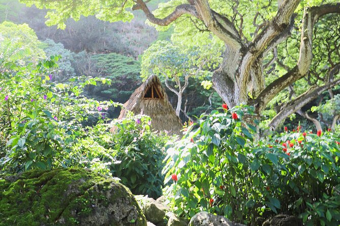 Swim at Oahu Waterfall in Waimea with Coffee, Lunch and Dole - FAQ: Your Questions Answered