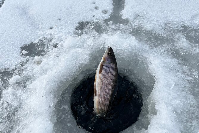 3 Hour Ice Fishing Experience - Who Should Book This?