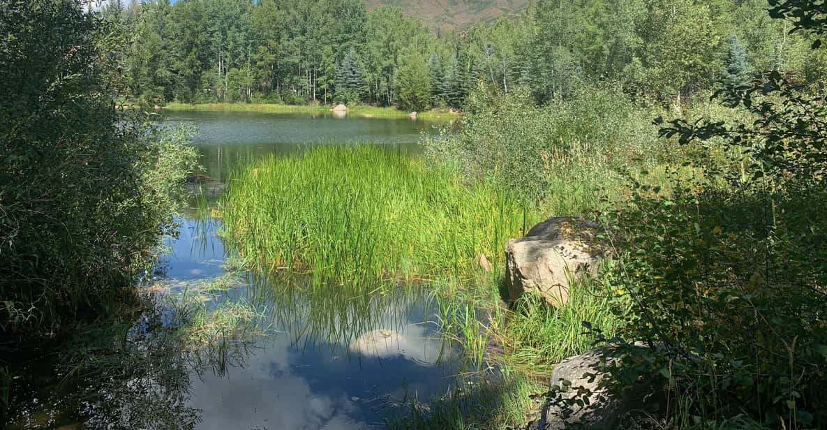 Aspen: Guided Light Hike with Roaring Fork River Views - Frequently Asked Questions (FAQs)