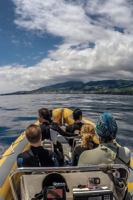 Azores: Swim with Dolphins Atlantic Experience - Final Thoughts: Is It Worth It?