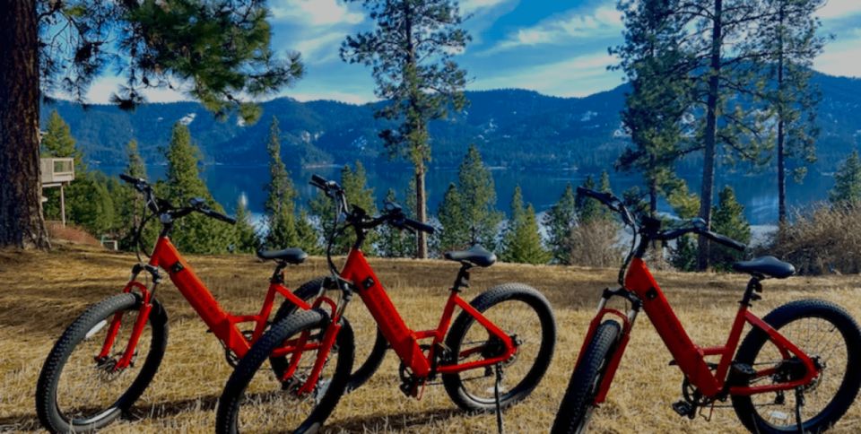 Coeur dAlene: E-Bike Rental - Why E-Biking Makes Sense