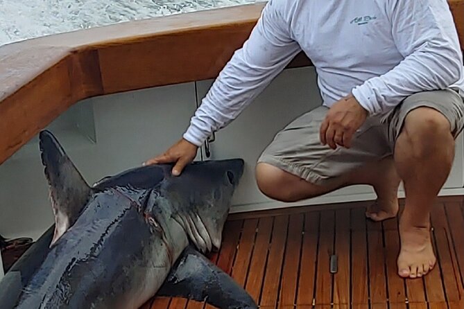 Fishing or Cruising Boston Harbor on Private Yacht Trinacria - The Sum Up