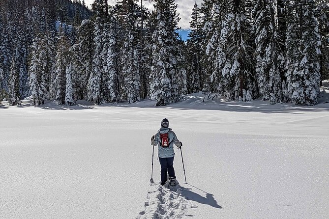 Half Day Snowshoe Hike in Tahoe National Forest - FAQ
