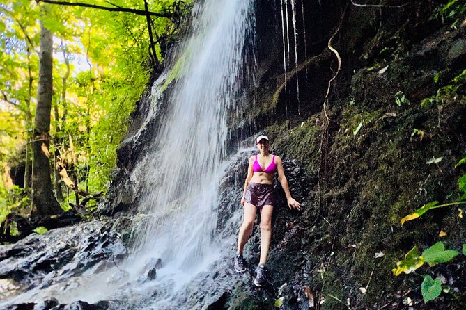 Half-Day Waterfall Tour - Hike, Scenic, Food and Photo - Who Will Love This Experience?