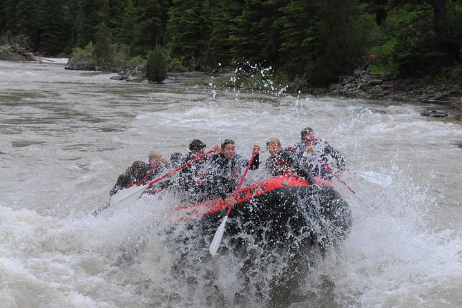 Jackson Hole Whitewater Rafting Classic from Jackson Hole,Wyoming - FAQs
