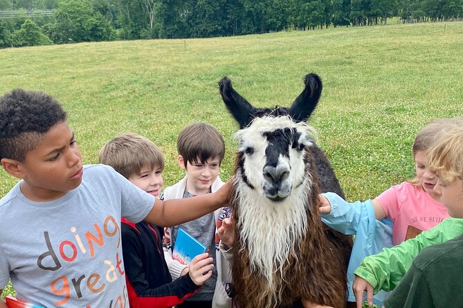 Llama/Alpaca Hike and Farm Tour - The Practical Details