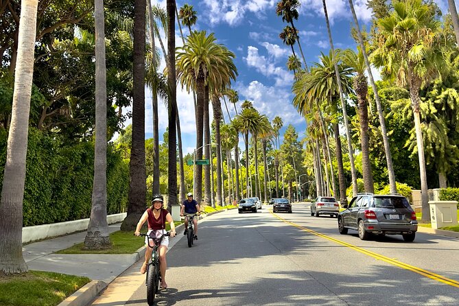 Los Angeles: Private E Bike Tour of Hollywood and Beverly Hills - The Guide and Tour Logistics