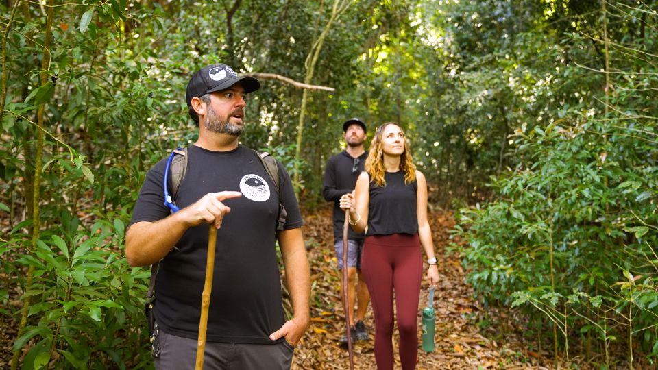 Maui: Honolua Ridgeline Informational Hike - The Sum Up