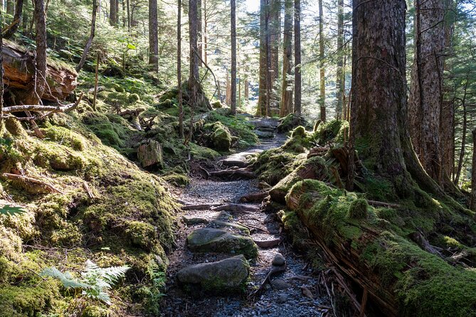 Private Ketchikan Mountain Lake Extended Trek to Alpine Overlook - Highlights of the Private Ketchikan Mountain Lake Trek