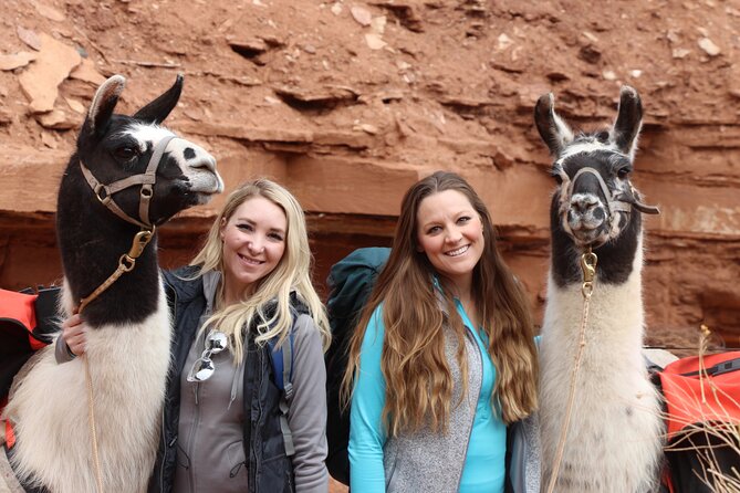 Spectacular 8-Hour Guided Llama Hike with Lunch and Dinner - Afternoon Exploration & the Sunset Dinner