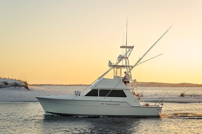 6 Hour Family Fun Fishing Charter on a 42 Sportfish ,Alibi - A Practical Look at the 6 Hour Family Fun Fishing Charter on the Alibi
