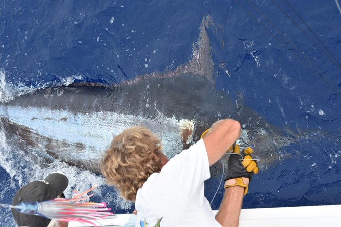 6 Hour Fishing Charter - Highlights of the 6-Hour Fishing Charter on Big Island